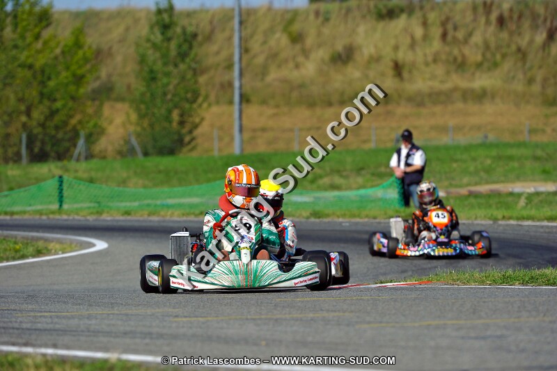 DSC_ (1708).jpg